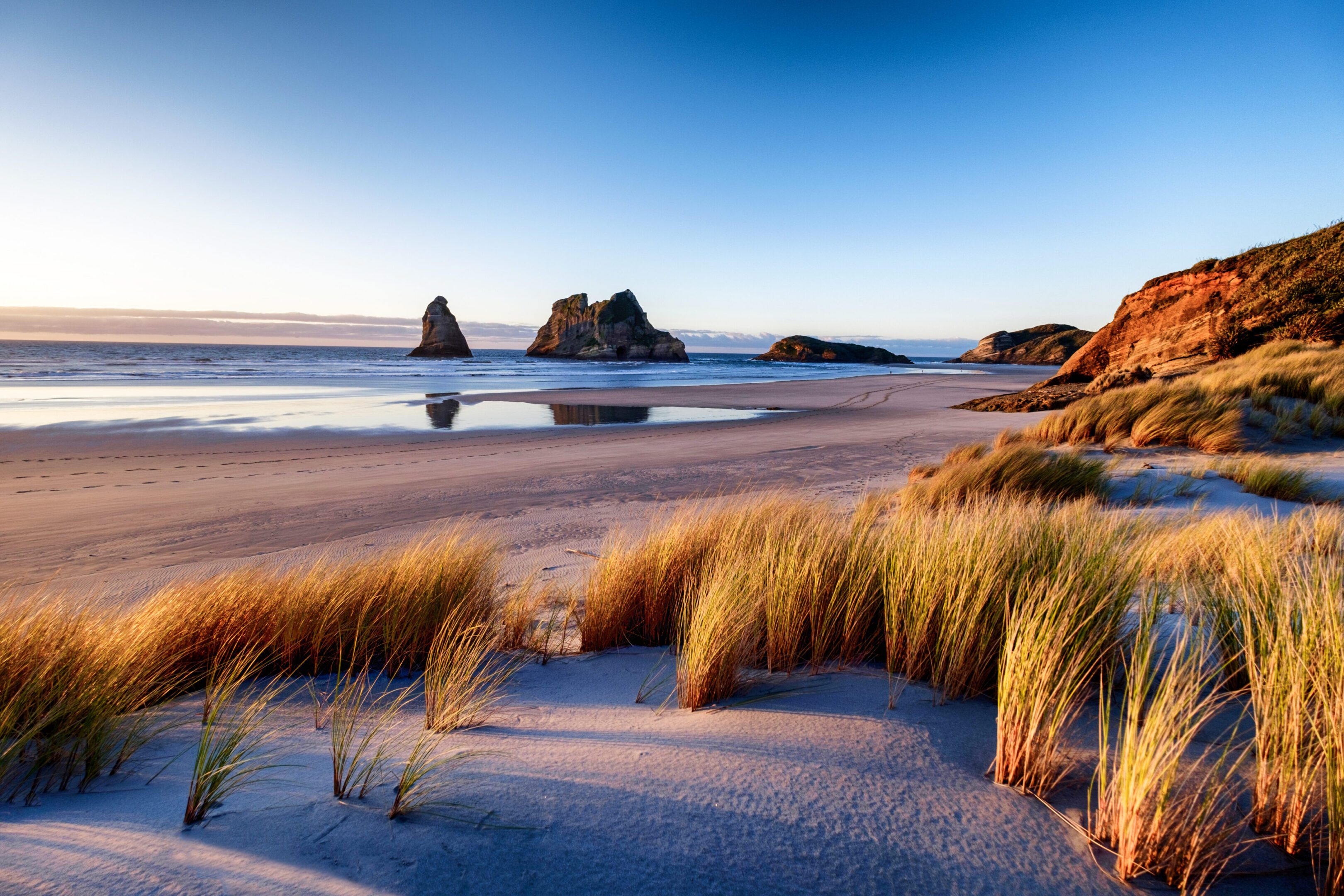 Sandy beach with sea stacks and grass.