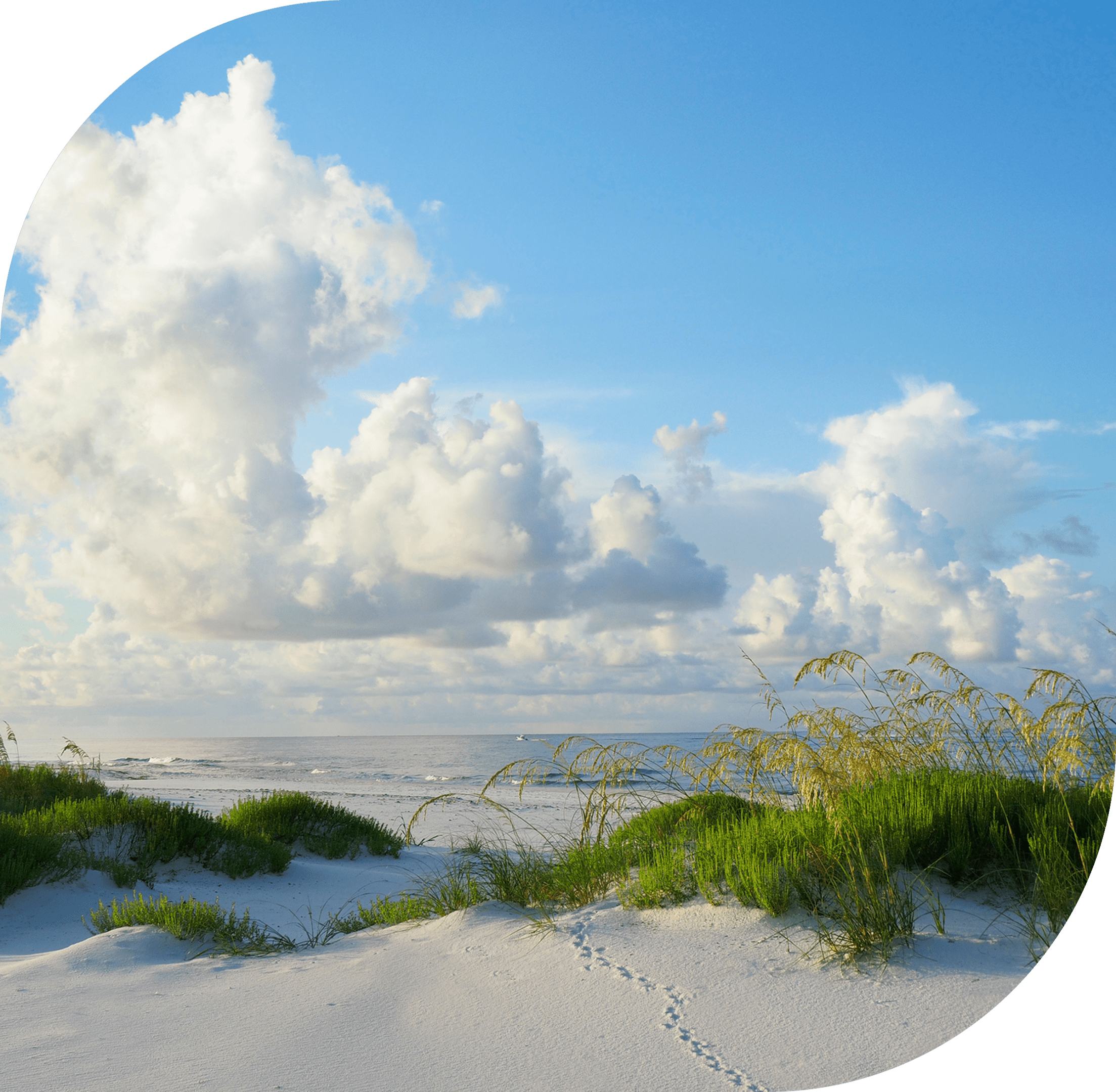 Beach with clouds and grassy dunes.
