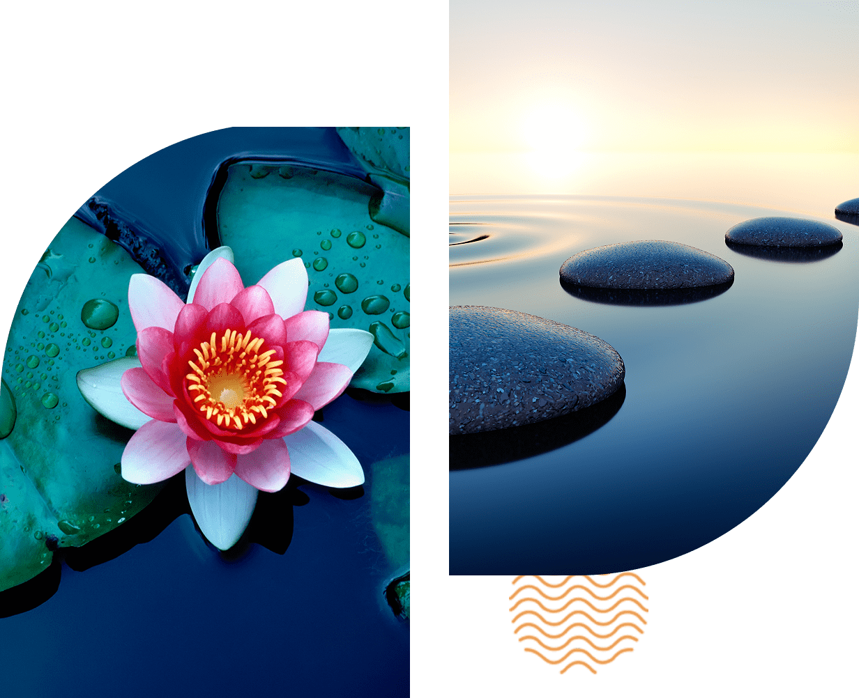 Pink lotus and stones on water.