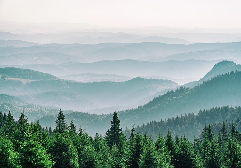 A view of the mountains from above with trees in the foreground.