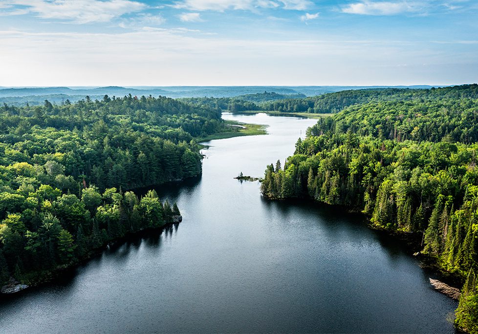 _0017_GettyImages-1337232523 A body of water surrounded by trees and bushes.