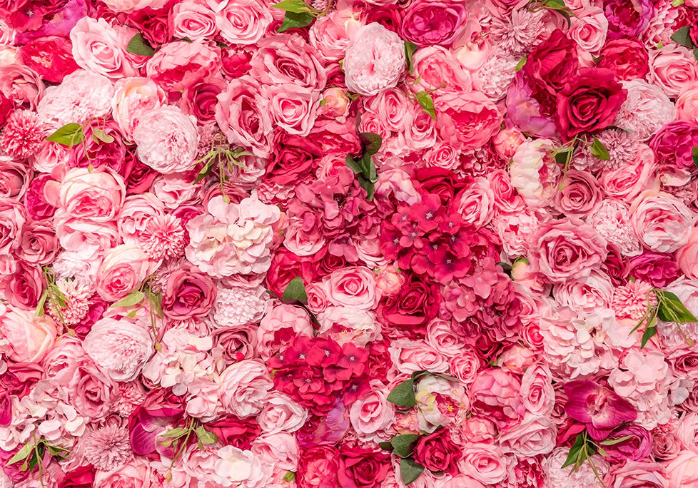 A bunch of pink flowers that are in the air