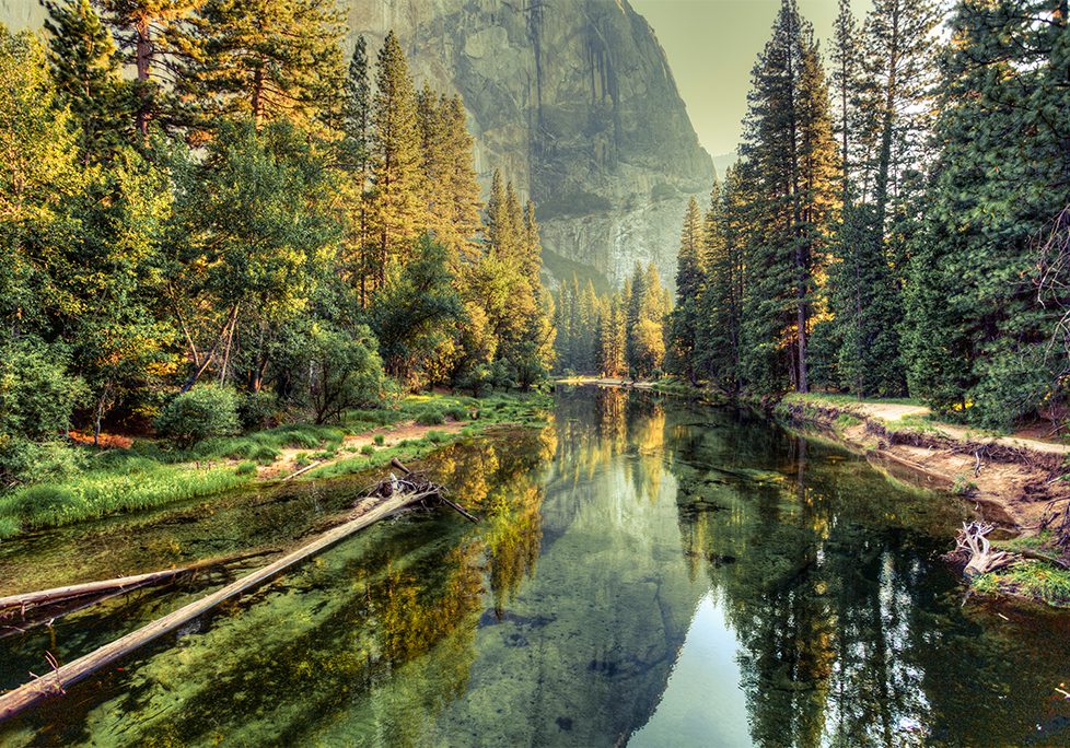 _0026_GettyImages-483724081 A painting of trees and mountains reflecting in the water.