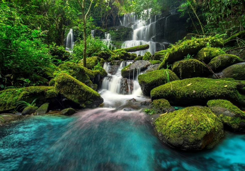 GettyImages-1283886803-1024x684-landscape-26cbdb8d (2) A waterfall with moss and rocks in the foreground.
