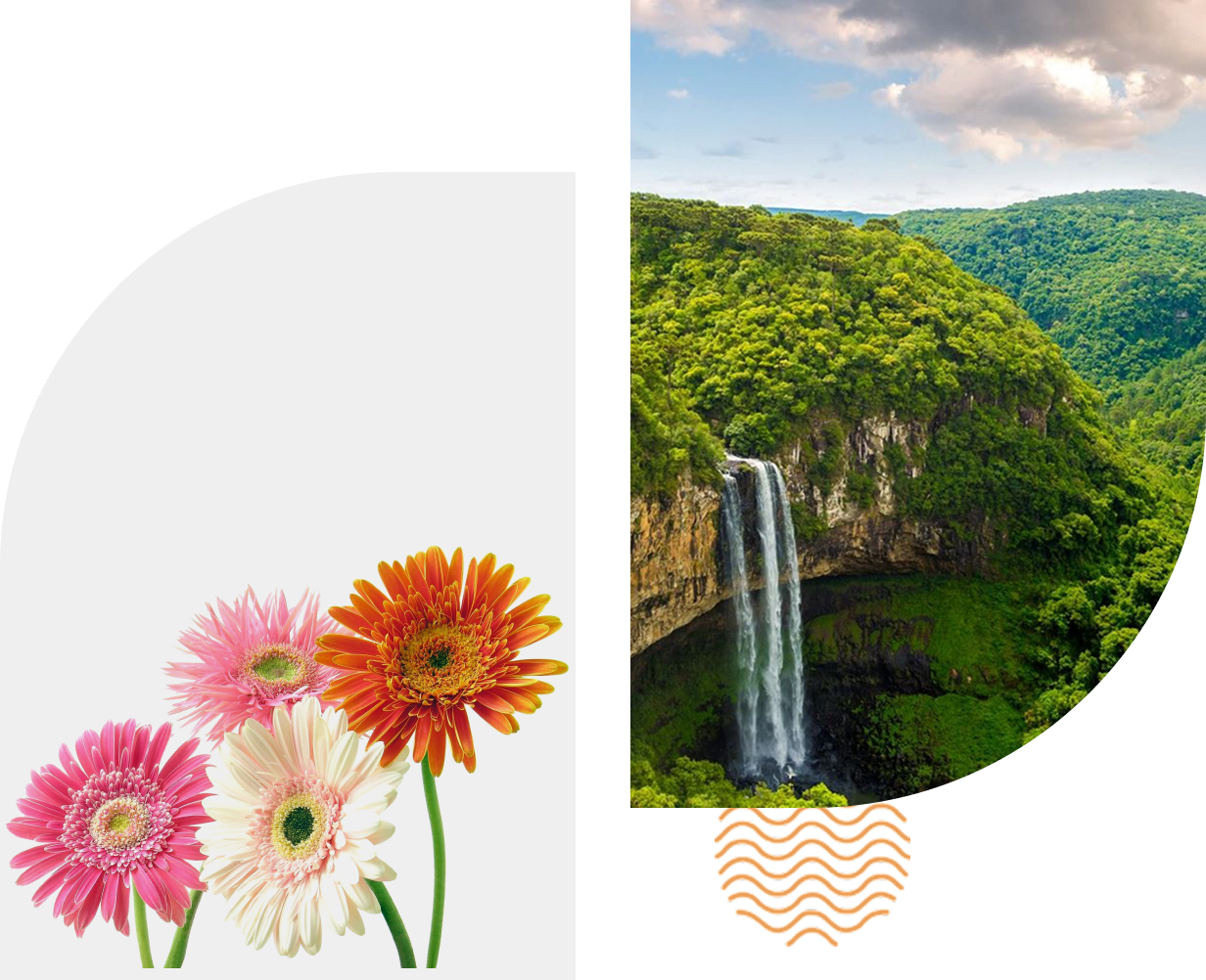 task4 A collage of flowers and a waterfall