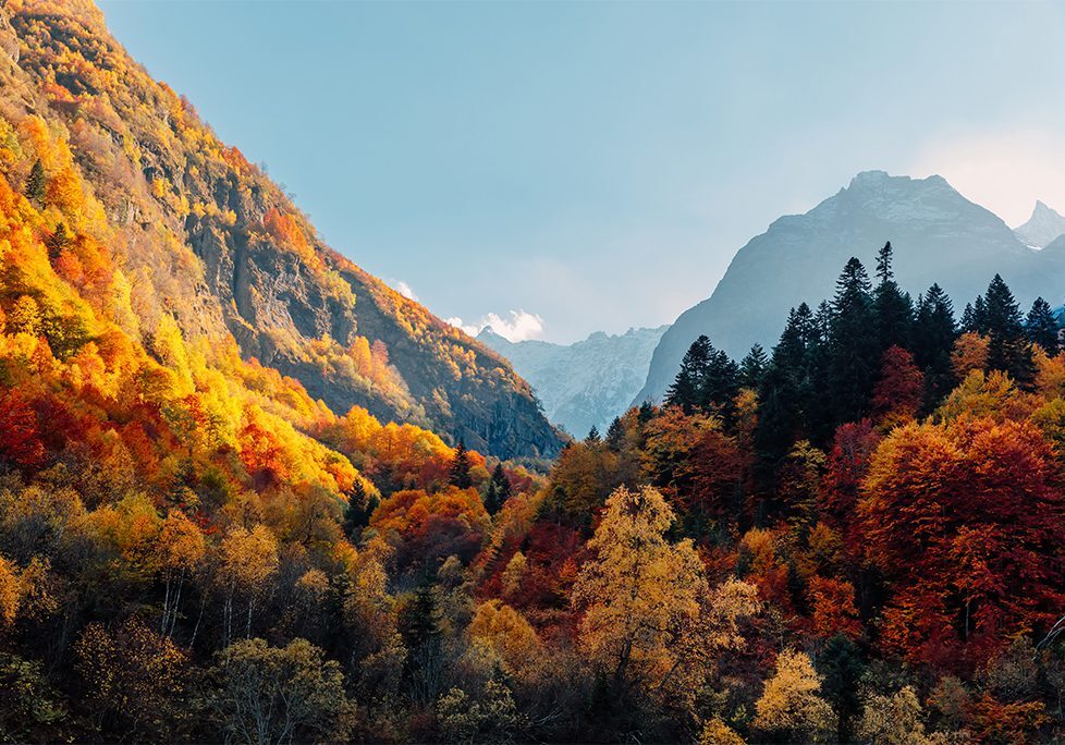 _0003_GettyImages-1282522992 A view of mountains with trees in the foreground.