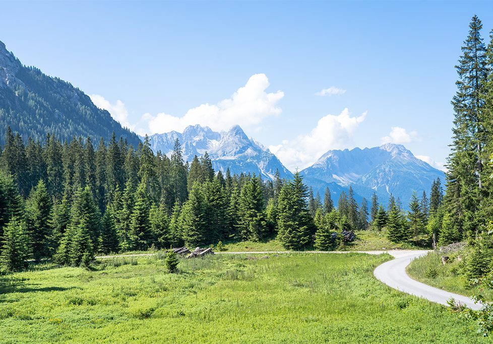 _0003_GettyImages-1479270338 A road through the middle of a field with trees in front.
