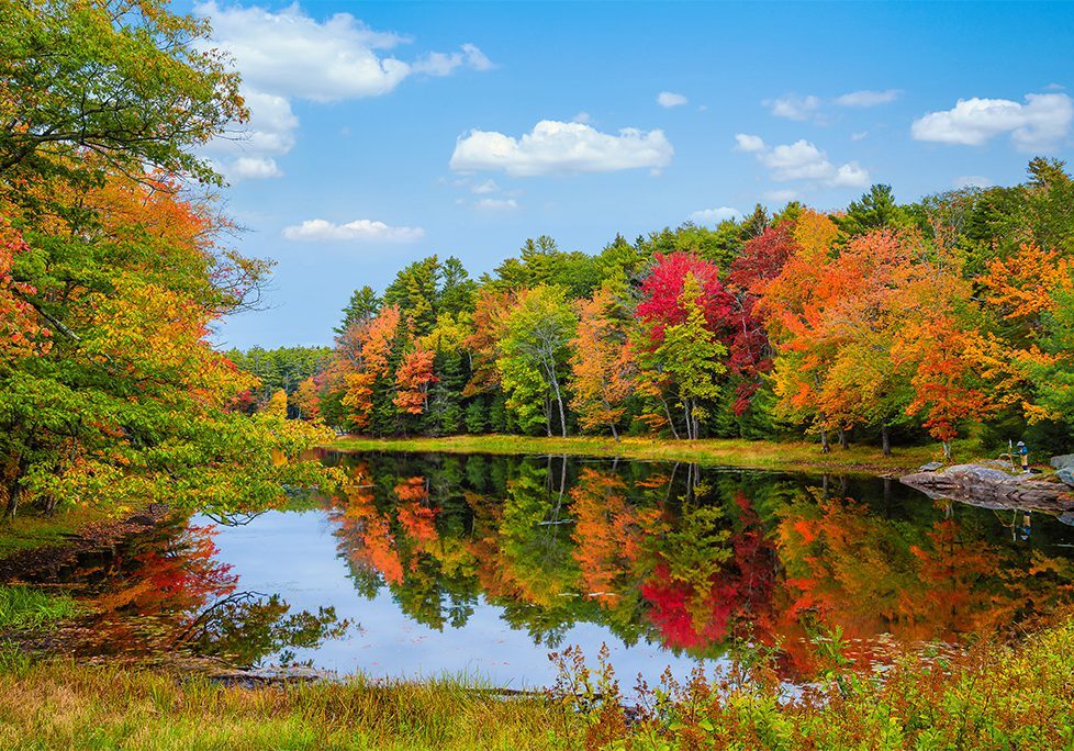 A lake surrounded by trees with colorful leaves.