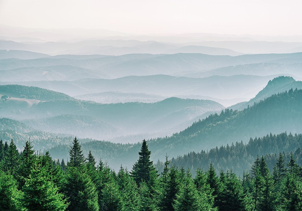 A view of the mountains from above with trees in the foreground.