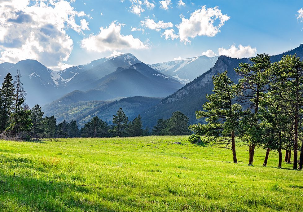 _0014_GettyImages-858733340 A field with trees and mountains in the background.