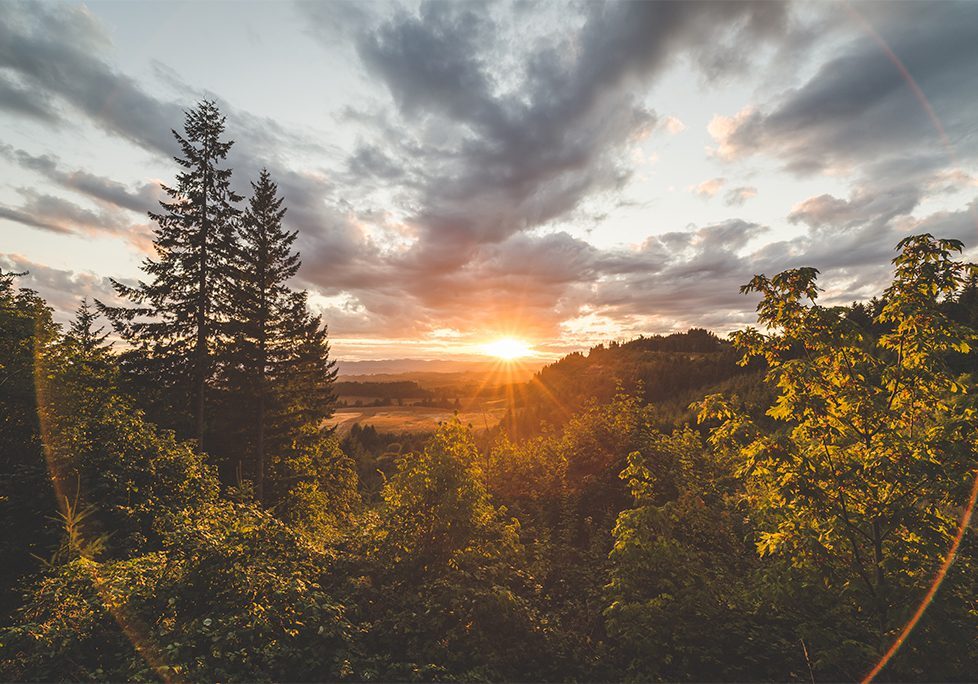 _0018_GettyImages-628248708 A sunset over the trees in front of some clouds.
