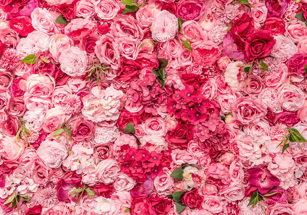A bunch of pink flowers that are in the air