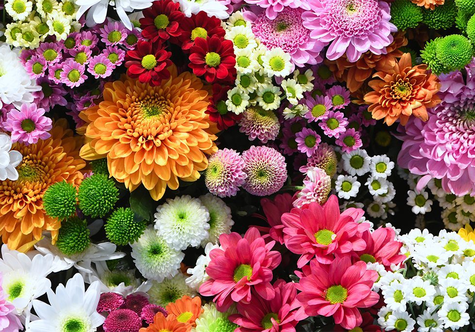 A bunch of different colored flowers are in the air