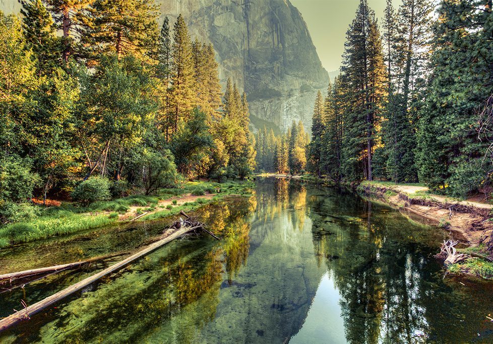 A painting of trees and mountains reflecting in the water.