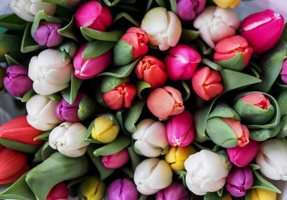 GettyImages-1283886803-1024x684-landscape-26cbdb8d6f1f792da877ec2b86940ef9- (3) A bunch of flowers that are in the air