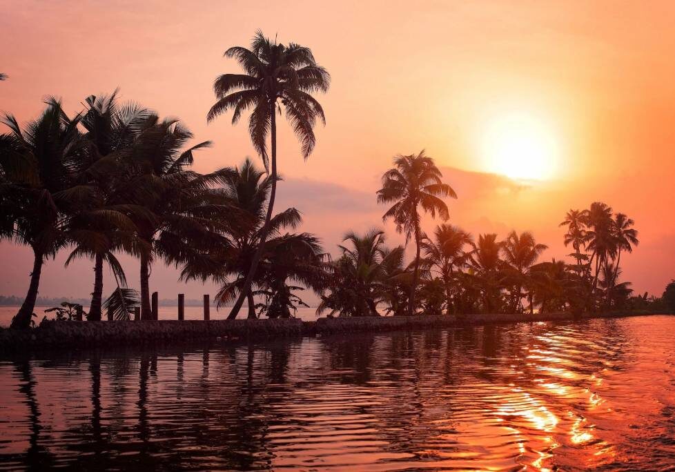 GettyImages-1283886803-1024x684-landscape-26cbdb8d6f1f792da877ec2b86940ef9- (4) (3) A sunset over the ocean with palm trees.