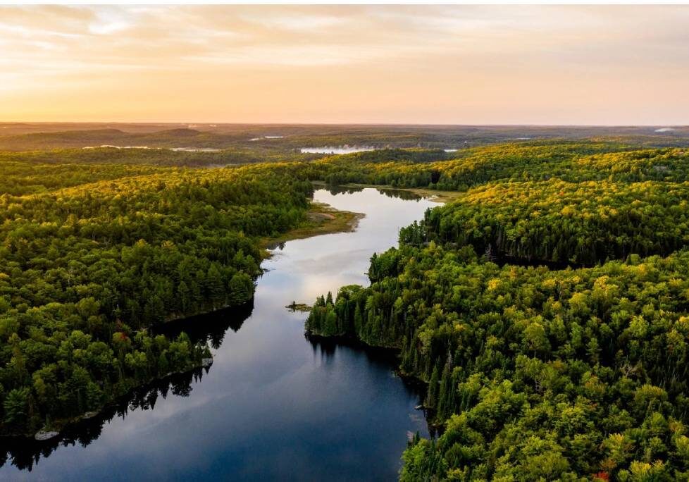 GettyImages-1283886803-1024x684-landscape-26cbdb8d6f1f792da877ec2b86940ef9- (4) (5) A river running through the middle of a forest.