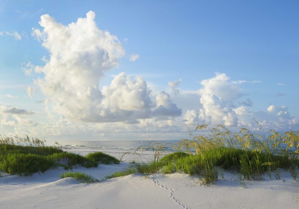 Sandy beach with grass and cloudy sky.